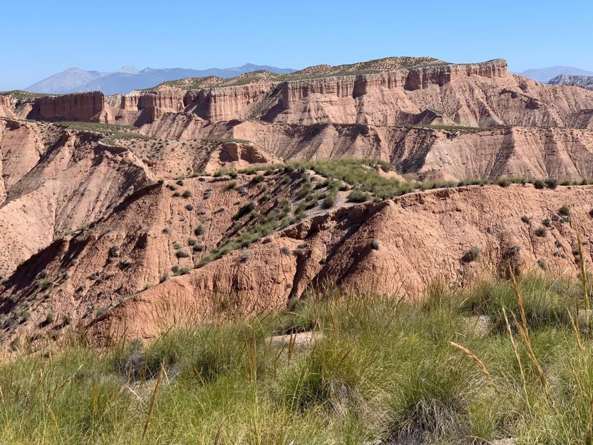 Gorafe Cuevas El Torriblanco旅馆 外观 照片